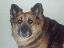 sameer_47's Avatar