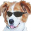Ildiko's Avatar