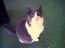 Stracat149's Avatar