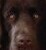 crumppie's Avatar