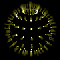 HKEd's Avatar