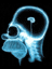 Radication's Avatar