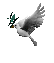 b1kra's Avatar