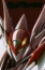 teknoman2001's Avatar