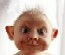redruM's Avatar