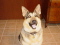 Okiejan's Avatar