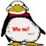 Penguingirl's Avatar