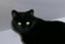 askey127's Avatar